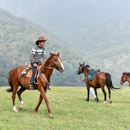 Gayane Hotel 알라베르디 외부 사진